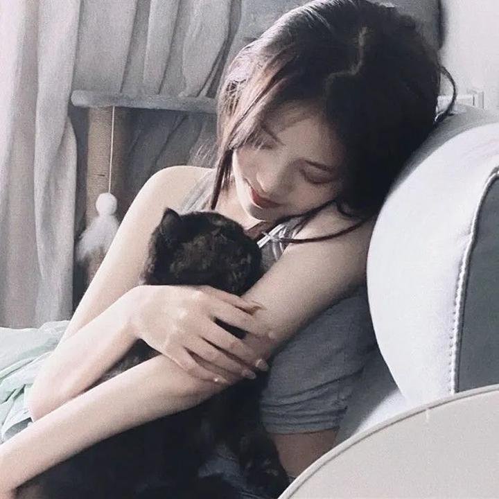 寅次郎的故事46 寅次郎的相亲